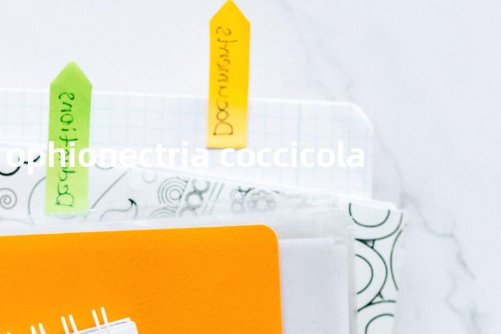 ophionectria coccicola单词图解，单词释义场景配图