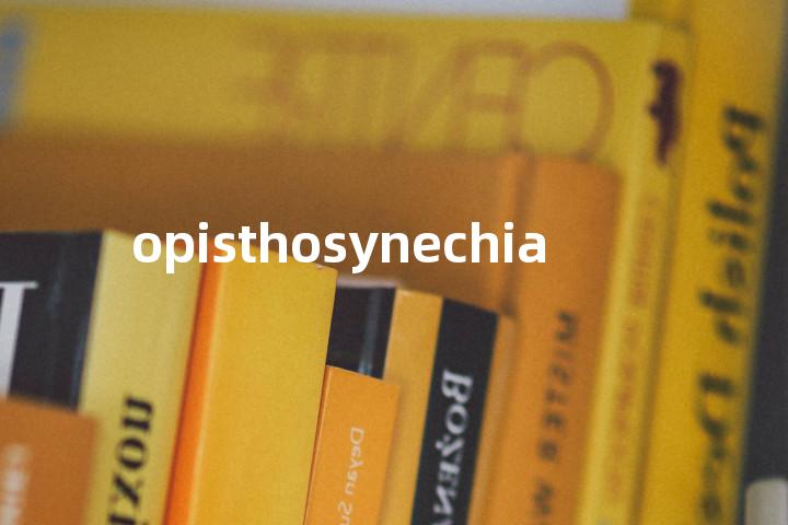 opisthosynechia单词图解，单词释义场景配图