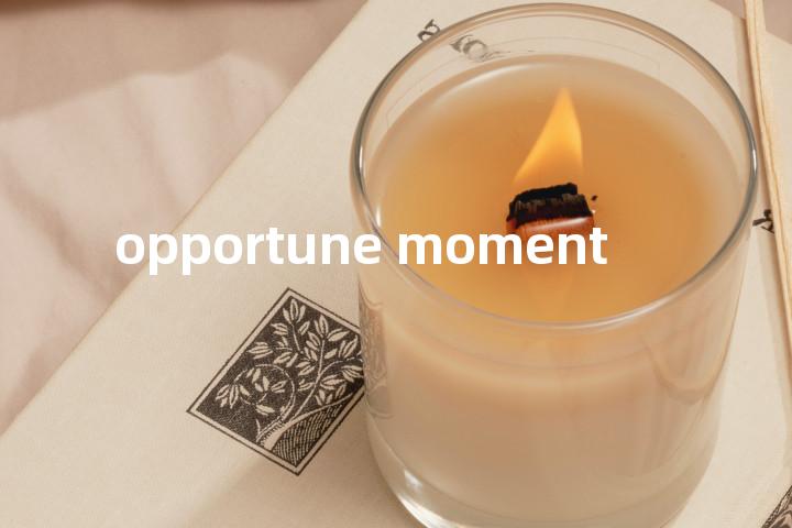 opportune moment单词图解，单词释义场景配图