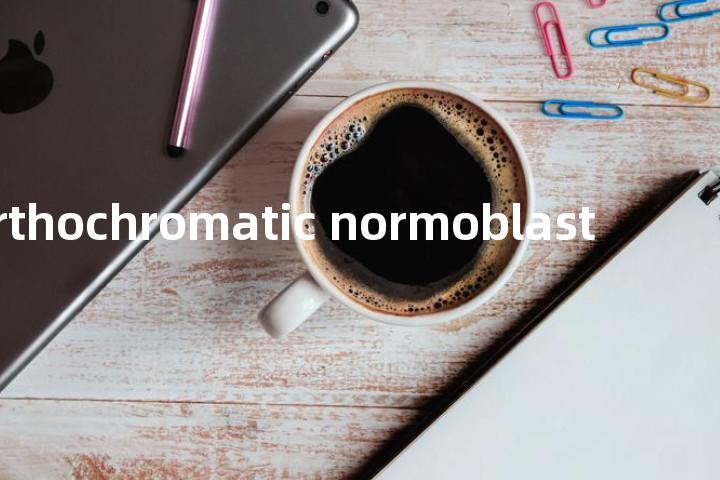 orthochromatic normoblast单词图解，单词释义场景配图
