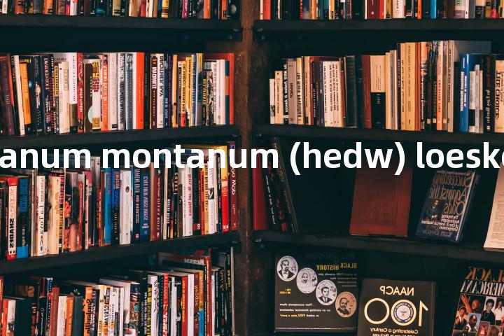 orthodicranum montanum (hedw) loeske单词图解，单词释义场景配图