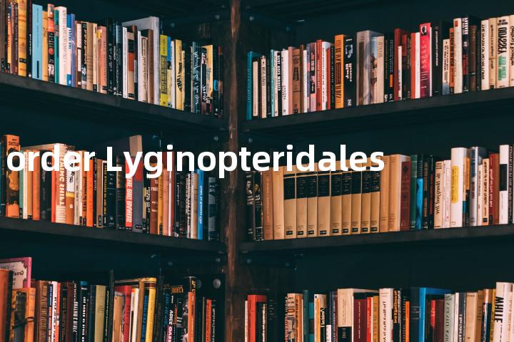 order Lyginopteridales单词图解，单词释义场景配图