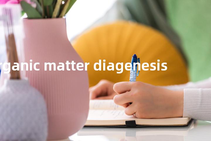 organic matter diagenesis单词图解，单词释义场景配图
