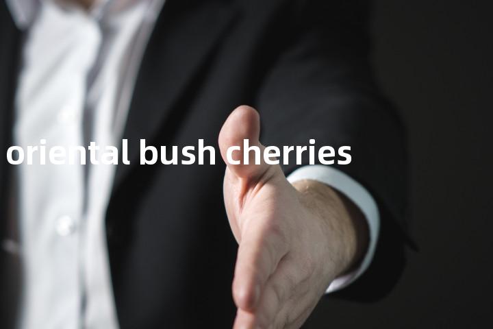 oriental bush cherries单词图解，单词释义场景配图