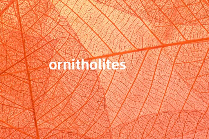 ornitholites单词图解，单词释义场景配图