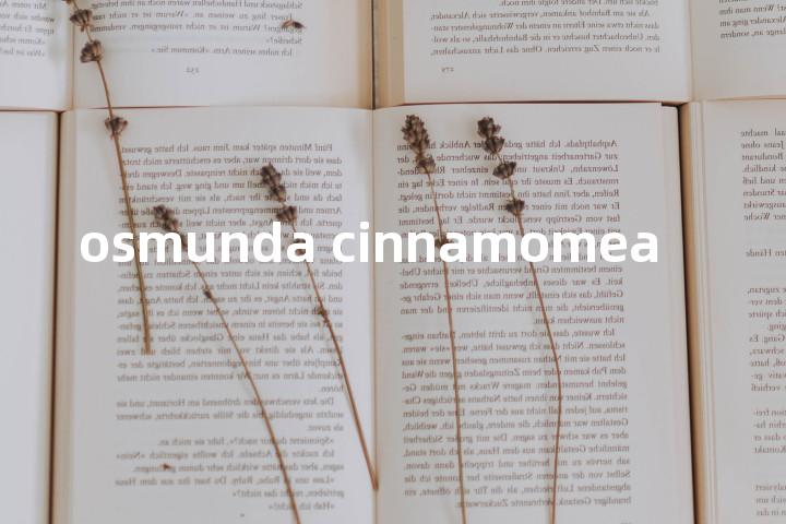 osmunda cinnamomea单词图解，单词释义场景配图
