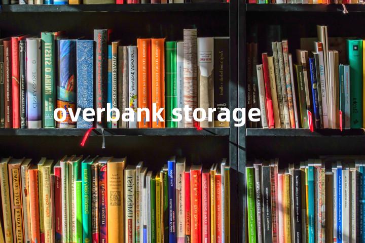 overbank storage单词图解，单词释义场景配图