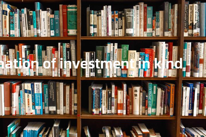 overestimation of investment in kind单词图解，单词释义场景配图