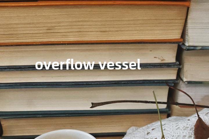 overflow vessel单词图解，单词释义场景配图