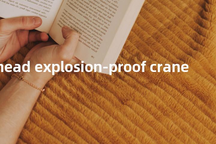 overhead explosion-proof crane单词图解，单词释义场景配图