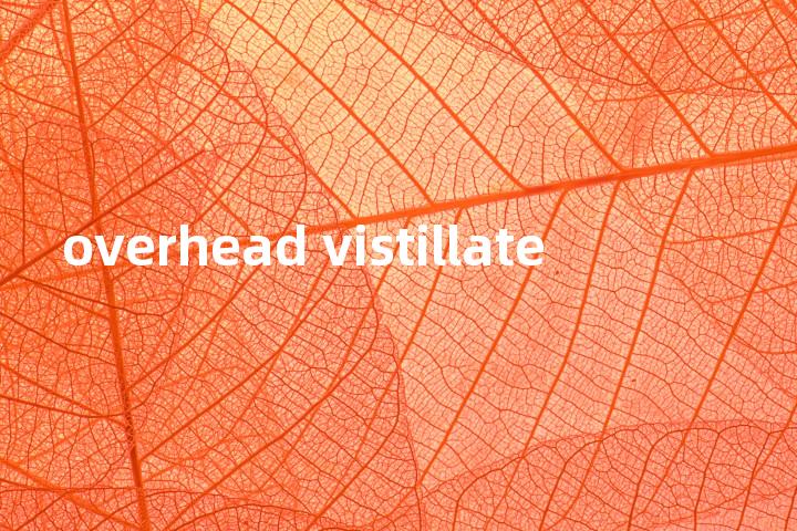 overhead vistillate单词图解，单词释义场景配图
