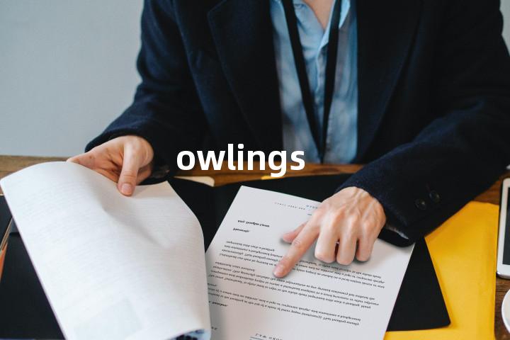 owlings单词图解，单词释义场景配图