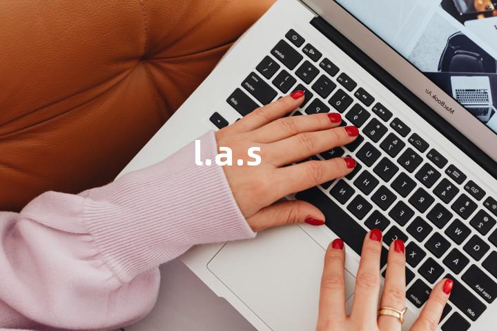 l.a.s单词图解，单词释义场景配图