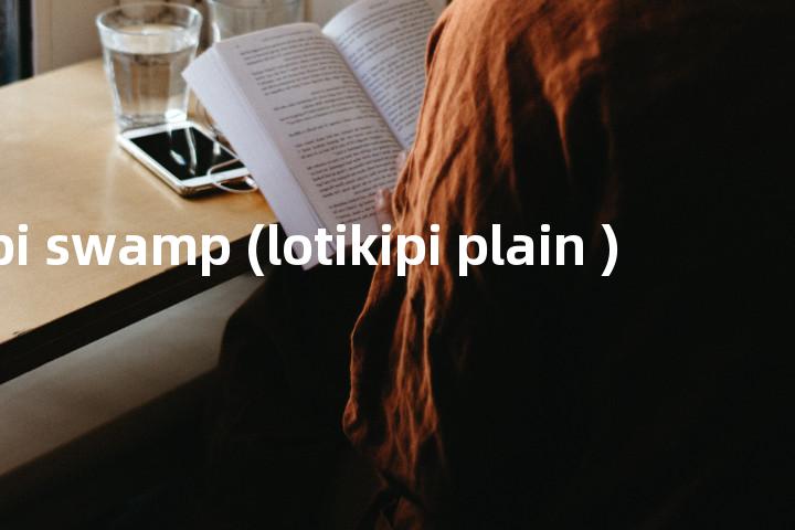 lotagipi swamp (lotikipi plain )单词图解，单词释义场景配图
