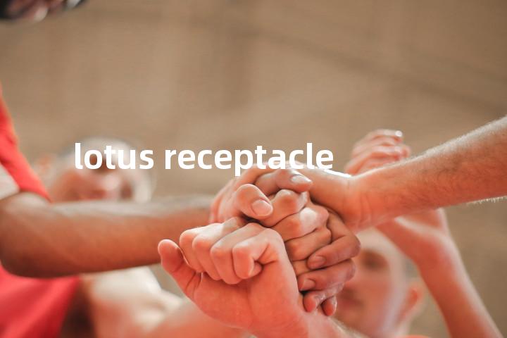 lotus receptacle单词图解，单词释义场景配图