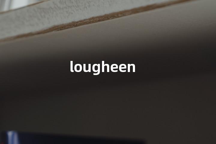 lougheen单词图解，单词释义场景配图