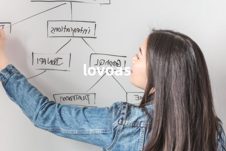 lovoas单词图解，单词释义场景配图