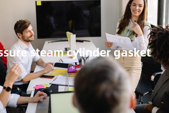 low pressure steam cylinder gasket单词图解，单词释义场景配图