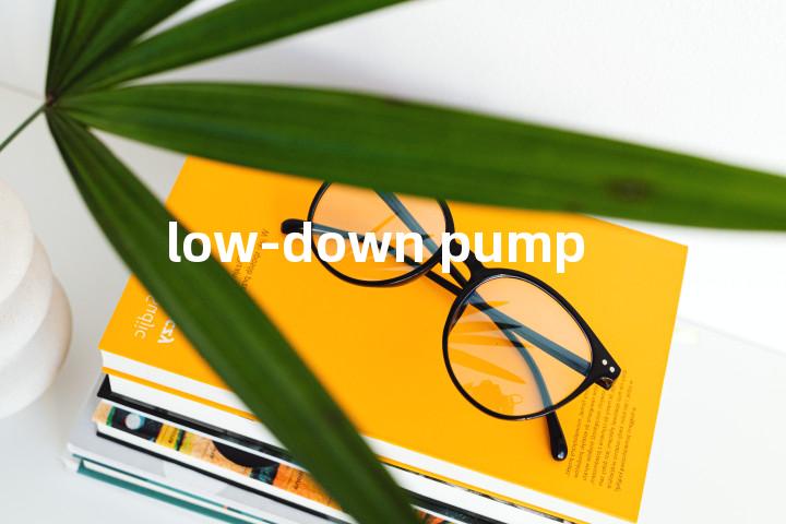 low-down pump单词图解，单词释义场景配图