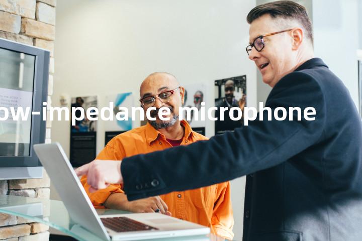low-impedance microphone单词图解，单词释义场景配图