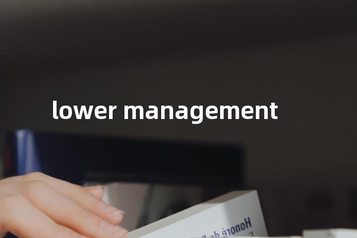 lower management单词图解，单词释义场景配图