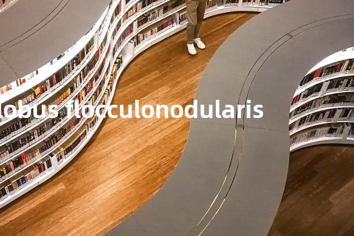 lobus flocculonodularis单词图解，单词释义场景配图