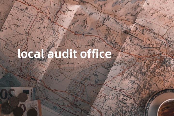 local audit office单词图解，单词释义场景配图