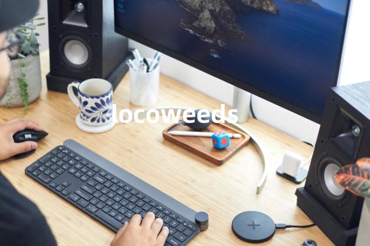 locoweeds单词图解，单词释义场景配图