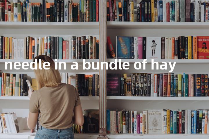 look for a needle in a bundle of hay单词图解，单词释义场景配图