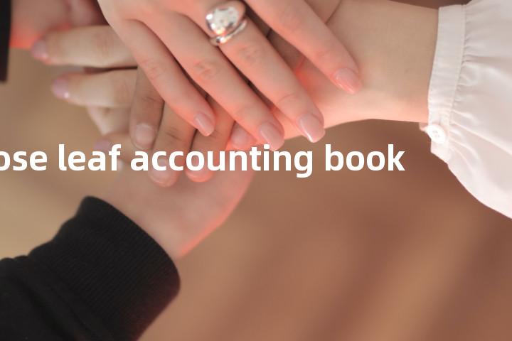 loose leaf accounting book单词图解，单词释义场景配图