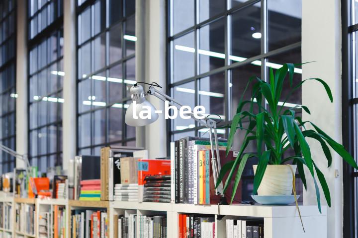 la-bee单词图解，单词释义场景配图