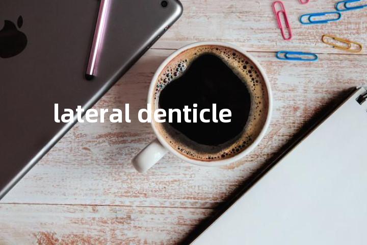 lateral denticle单词图解，单词释义场景配图