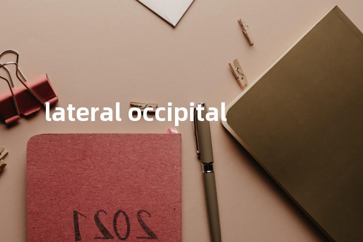 lateral occipital单词图解，单词释义场景配图