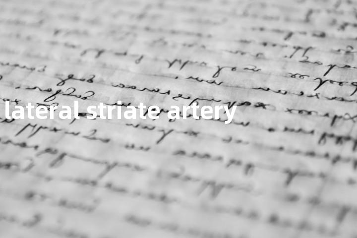 lateral striate artery单词图解，单词释义场景配图