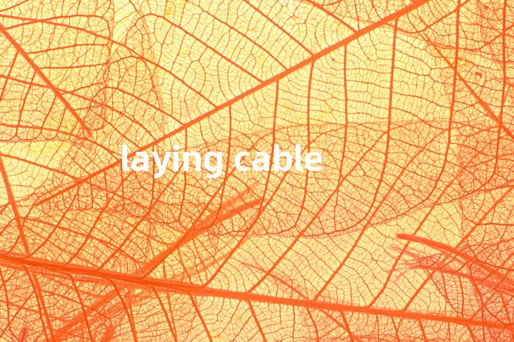 laying cable单词图解，单词释义场景配图