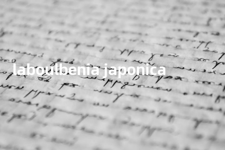 laboulbenia japonica单词图解，单词释义场景配图