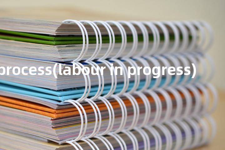 labour in process(labour in progress)单词图解，单词释义场景配图