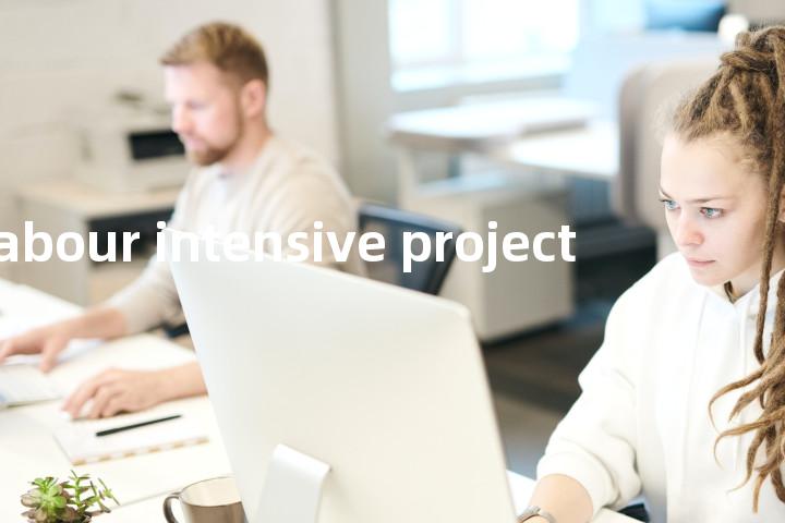 labour intensive project单词图解，单词释义场景配图