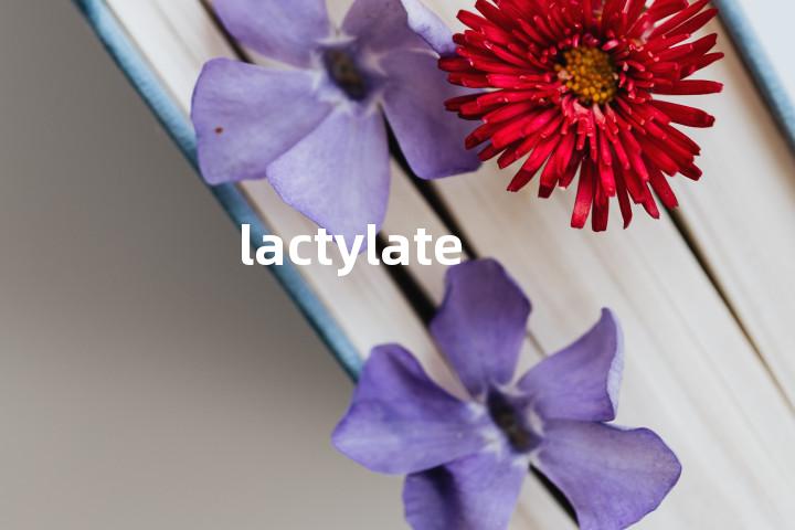 lactylate单词图解，单词释义场景配图