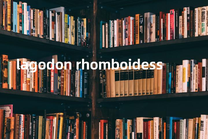 lagodon rhomboidess单词图解，单词释义场景配图