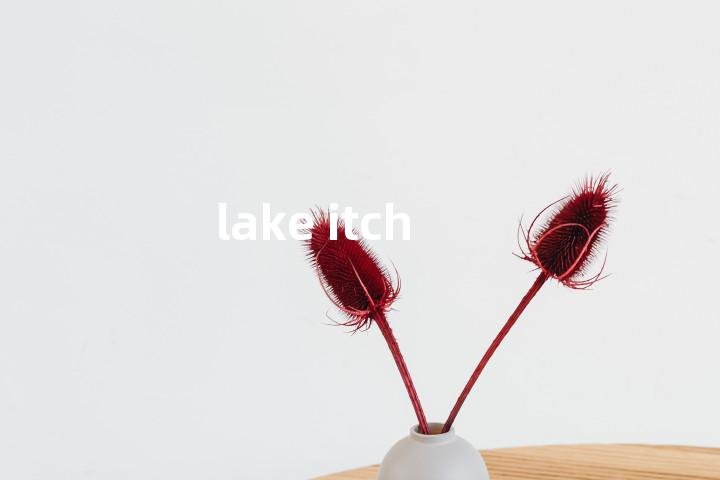 lake itch单词图解，单词释义场景配图