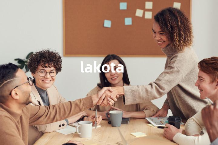 lakota单词图解，单词释义场景配图
