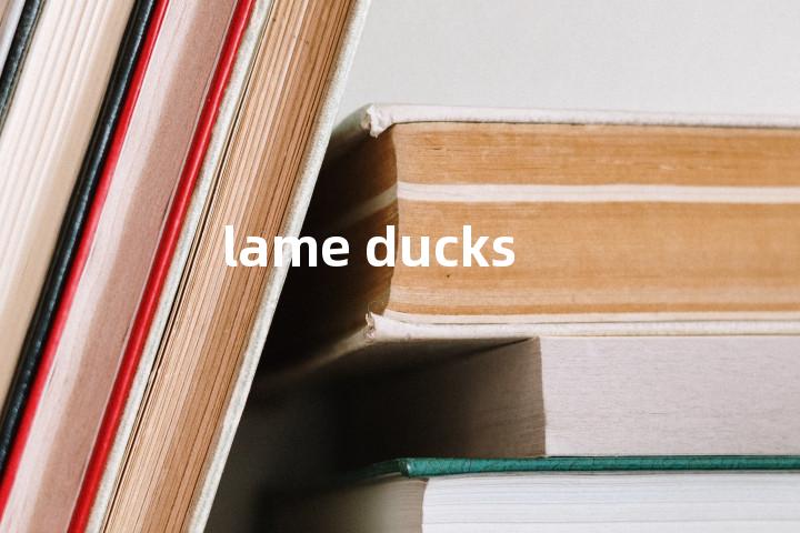 lame ducks单词图解，单词释义场景配图