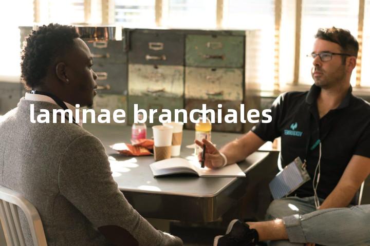 laminae branchiales单词图解，单词释义场景配图