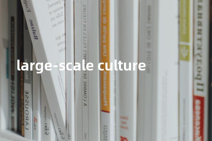 large-scale culture单词图解，单词释义场景配图