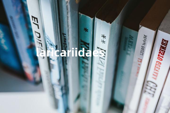 laricariidaes单词图解，单词释义场景配图