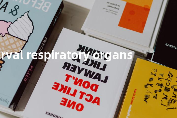 larval respiratory organs单词图解，单词释义场景配图