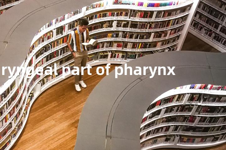 laryngeal part of pharynx单词图解，单词释义场景配图