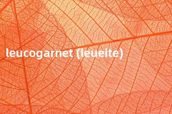 leucogarnet (leueite)单词图解，单词释义场景配图