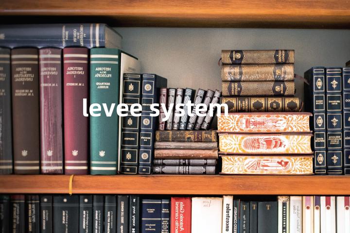 levee system单词图解，单词释义场景配图